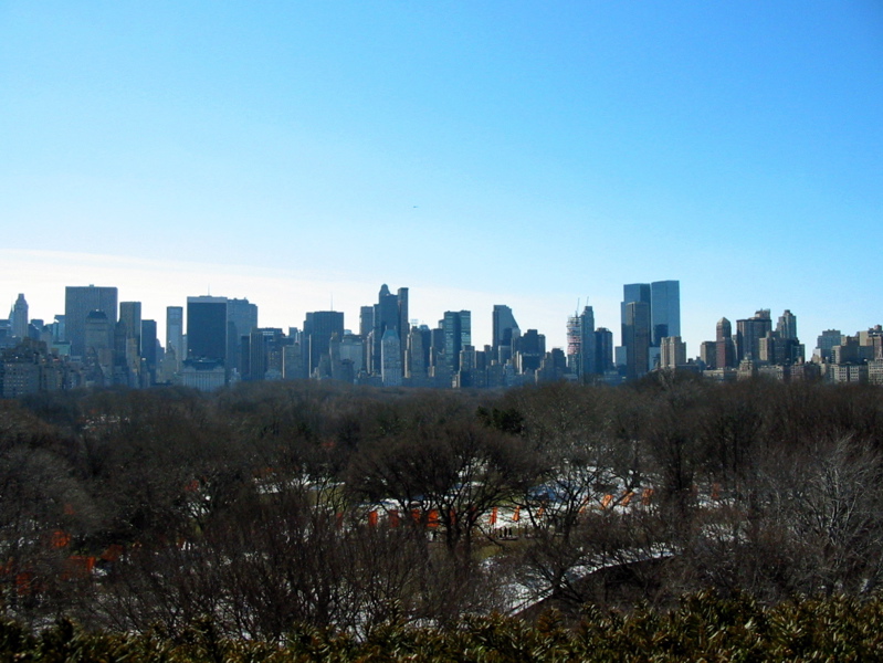 Central Park vu de l'observatoire du Metropolitan Museum of Art