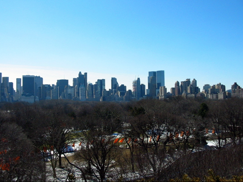 Central Park vu de l'observatoire du Metropolitan Museum of Art