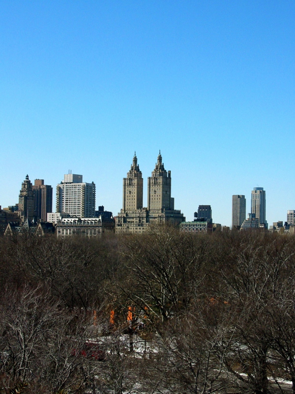 Central Park vu de l'observatoire du Metropolitan Museum of Art