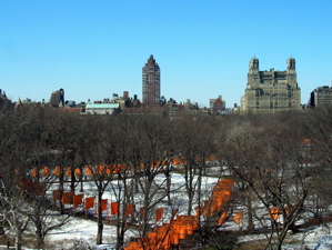 Central Park vu de l'observatoire du Metropolitan Museum of Art