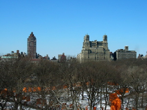 Central Park vu de l'observatoire du Metropolitan Museum of Art