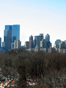 Central Park vu de l'observatoire du Metropolitan Museum of Art
