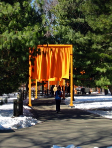 "The Gates" &agrave; Central Park (Christo)