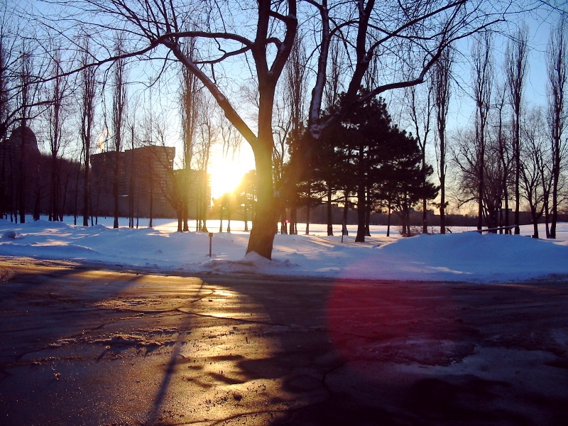 Sunset at Notre-Dame des Neiges cemetery.