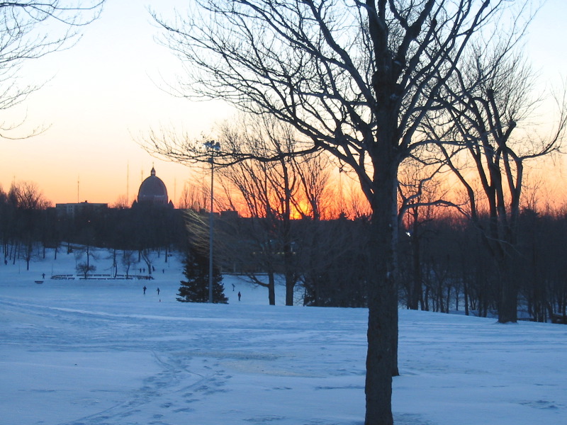 Sunset... just a little too late !