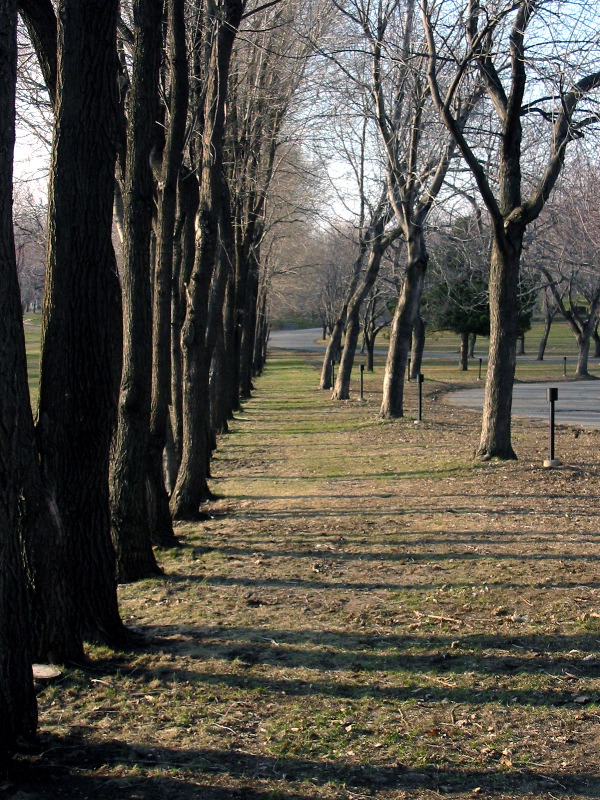 Sunset on Notre-Dame des Neiges cemetery.