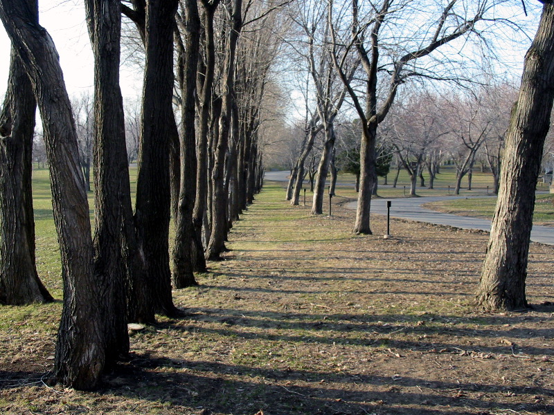 Spring slowly arrives.