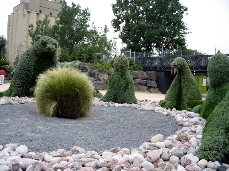 The animals are joined together in consulting around Porcupine.