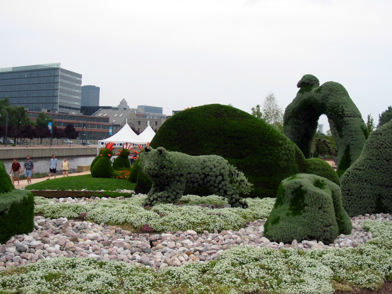 The Wolf, the Beaver.