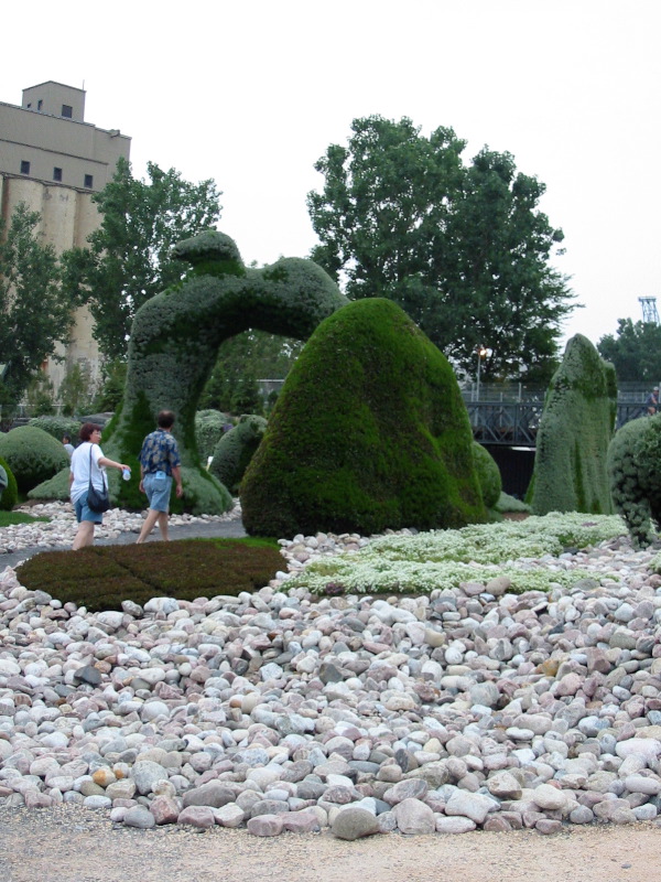 Beaver and its very flat tail.