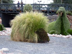 Close-up on Porcupine.