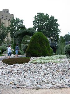 Beaver and its very flat tail.