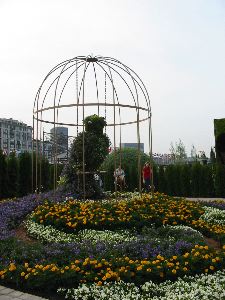 The Legend of the Blue Bird, Marrakesh (Morocco)