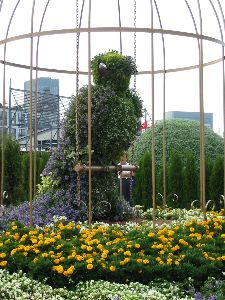 According to the legend, diamonds left its beak when it sang.