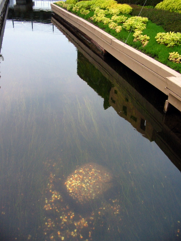 A mine of pennies appeared in the channel close to the lovers.