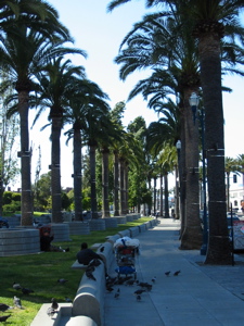 Contrastes sur l'Embarcadero