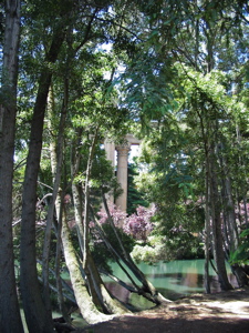 Nature au Palais des Beaux-Arts