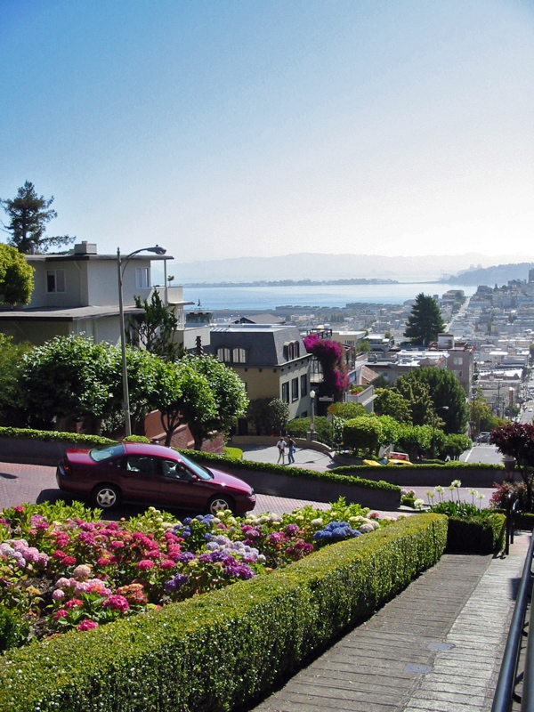 Les courbes de Lombard St. (nomm&eacute;e la rue la plus tordue au monde) aident les voitures &agrave; descendre la pente de 27 %