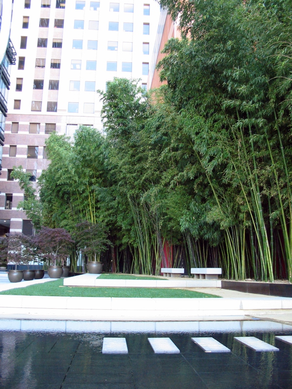 Espace de verdure &eacute;rig&eacute; &agrave; la m&eacute;moire de Daniel H. Case III en bordure de l'&eacute;difice de JP Morgan Chase, 560 Market St.