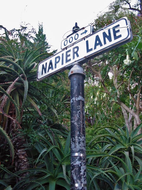 Napier Lane