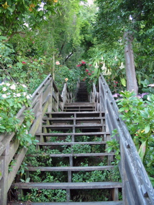 Escalier en fleurs