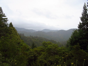 Point de vue sur la montagne