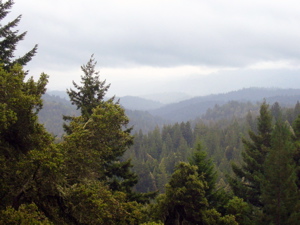 Point de vue sur la montagne