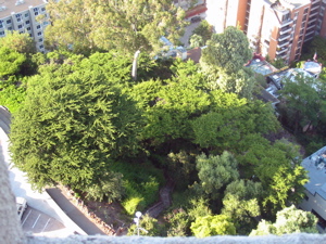 Les escaliers de Filbert St. menant &agrave; Coit Tower