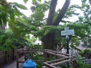 Place Darrell