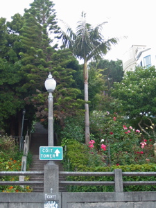 Coit Tower l&agrave;-haut