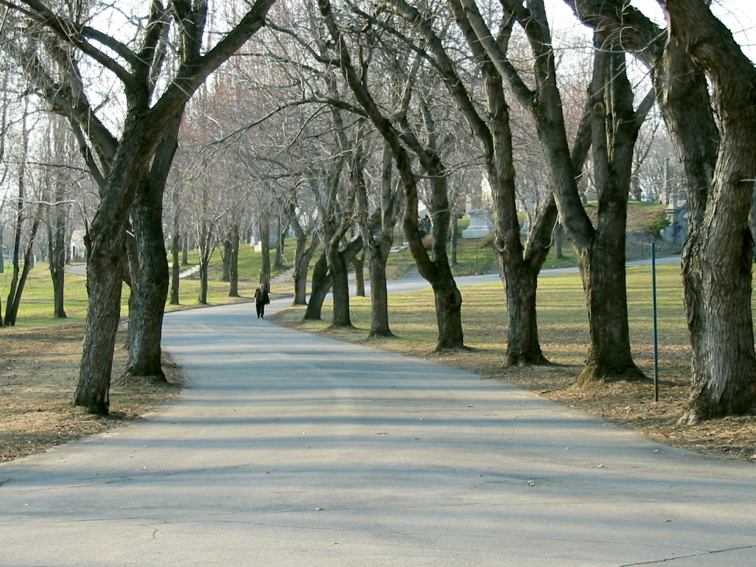 Homme sur le chemin