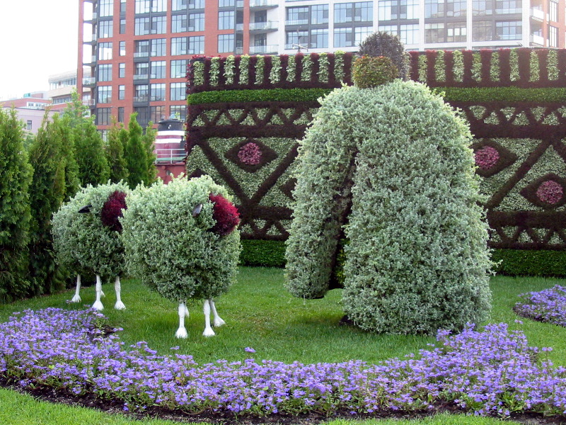 Bergers et moutons (Bucarest)