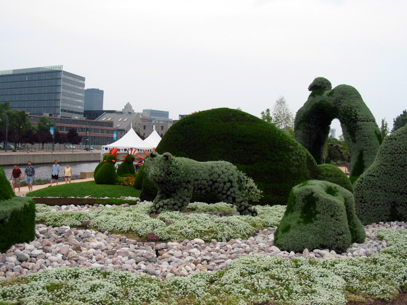 Le loup et le castor.