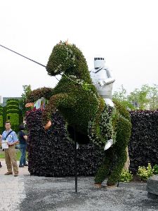 La Ducasse de Mons - St-Georges sur son cheval, Hainaut (Belgique)