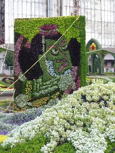 Les cerfs-volants porte-bonheur de Hamamaztsu - avec le mont Fiji (Japon)