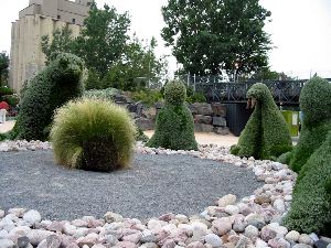 Les animaux sont r&eacute;unis en conseil autour de Porc-&Eacute;pic