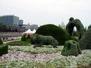 Le loup et le castor.