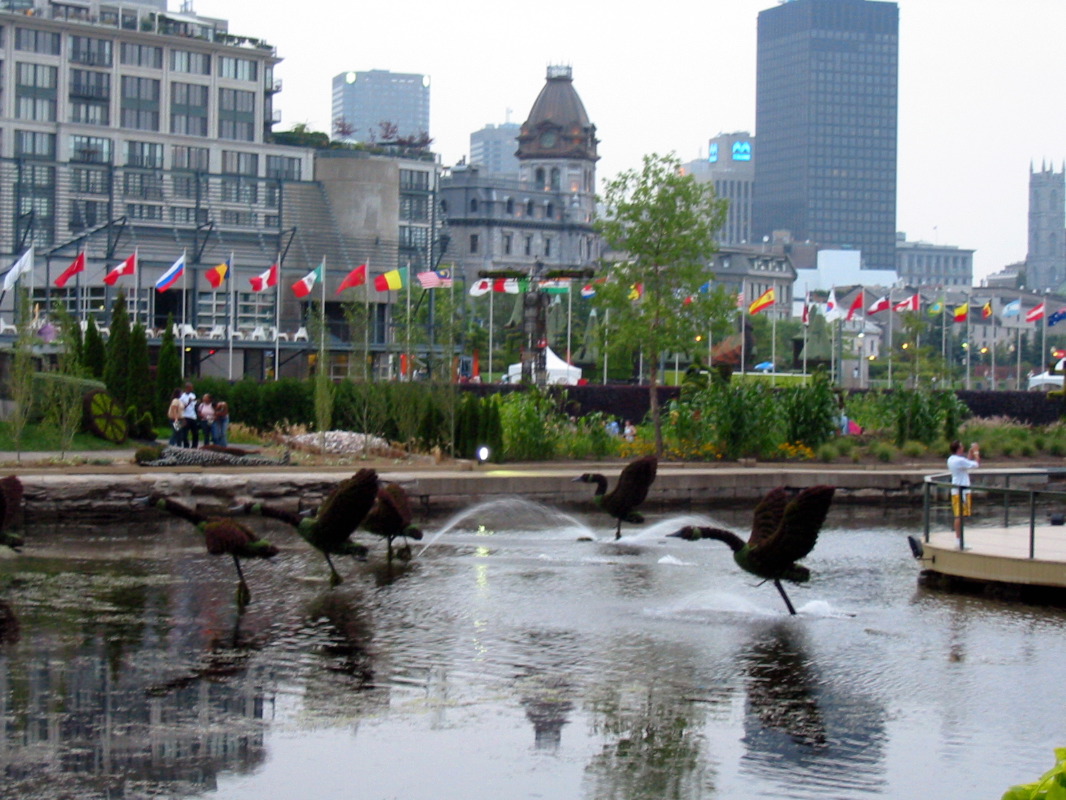 Bernaches du Jardin du Qu&eacute;bec (L&eacute;gende de la Terre-M&egrave;re)