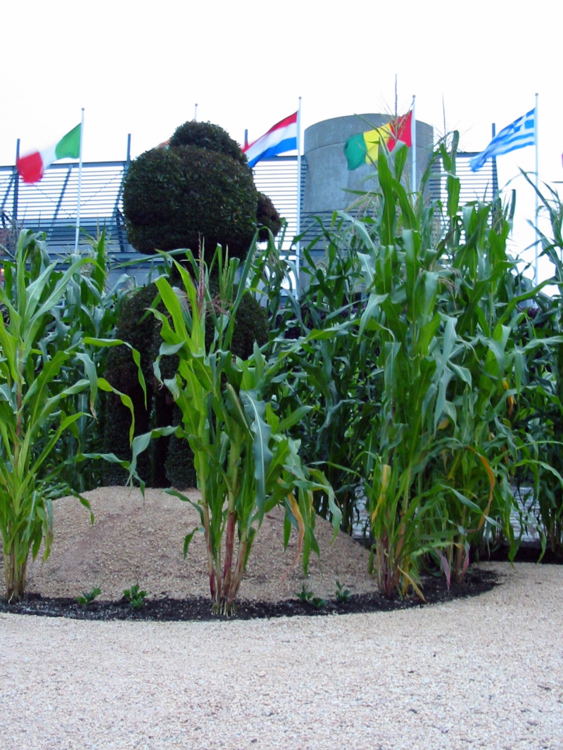 Le mythe de Nimba, d&eacute;esse de la f&eacute;condit&eacute;. Conakry (Guin&eacute;e)