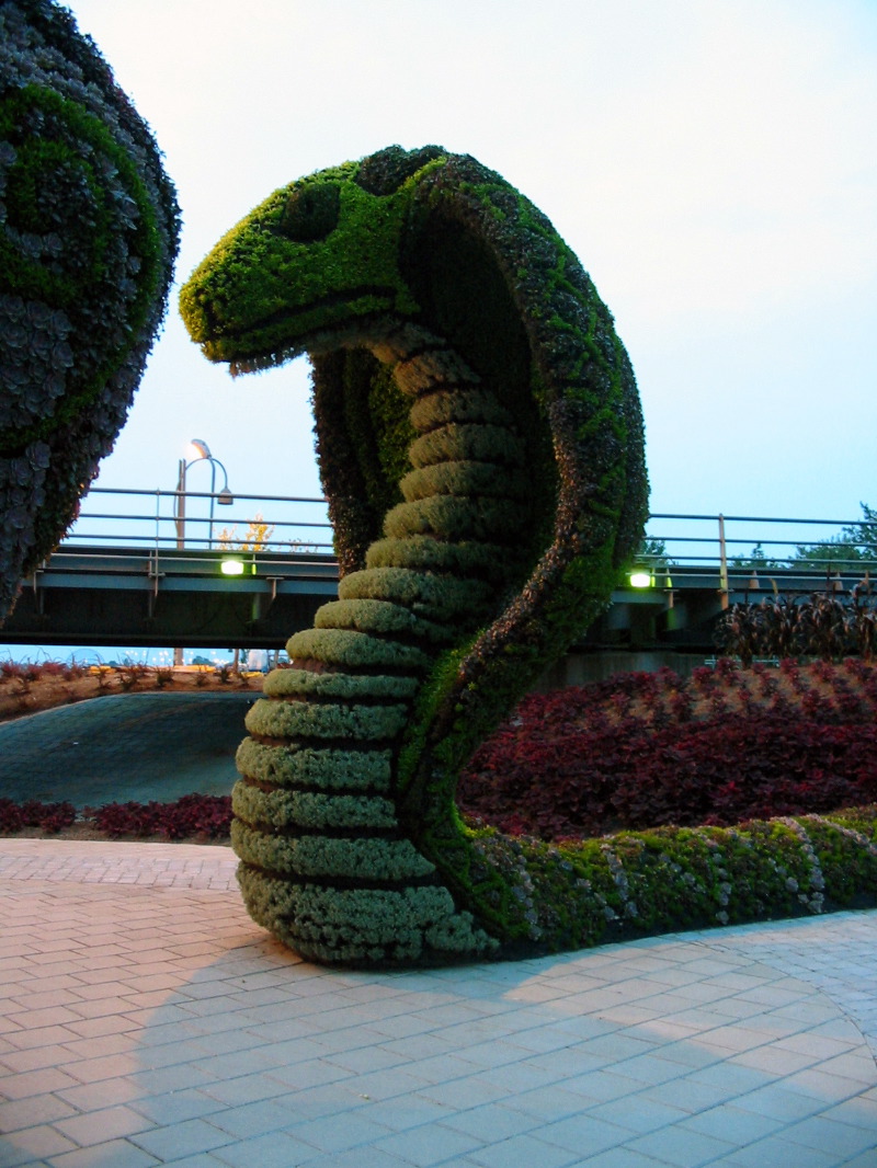 Les cobras, protecteurs de Bouddha.