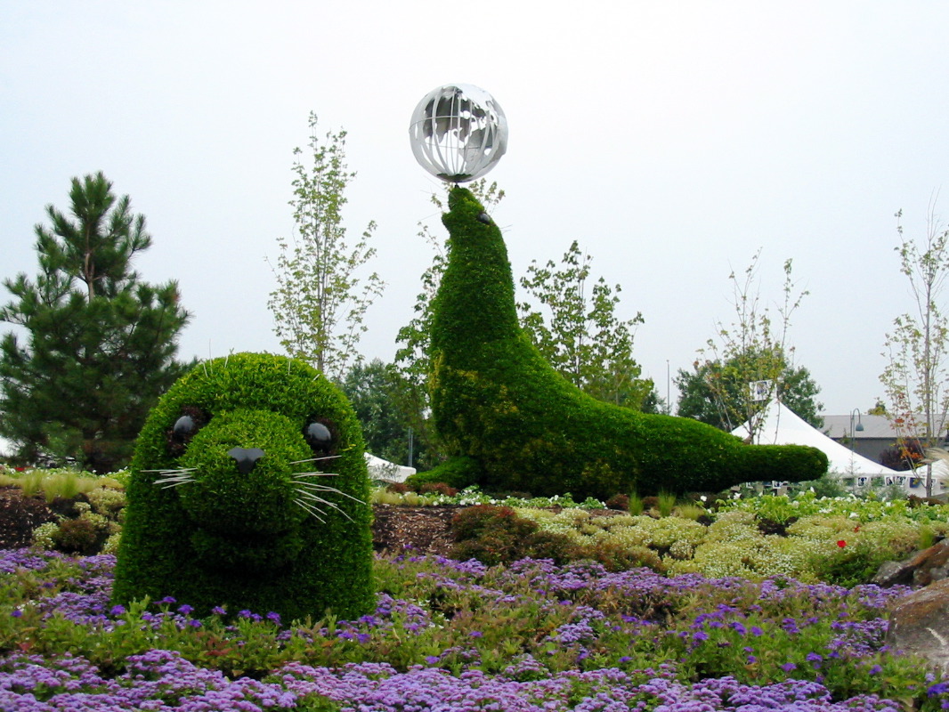 Le phoque est en Alaska alors que sa blonde est aux &Eacute;tats-Unis.