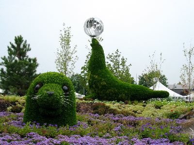 Le phoque est en Alaska alors que sa blonde est aux &Eacute;tats-Unis.