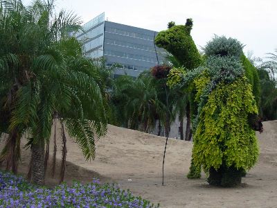 Promeneur de l'oasis.