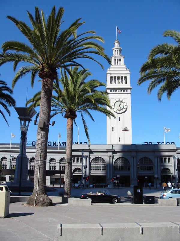 Palmiers sur l'Embarcadero et le Ferry Building