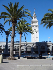 Palmiers sur l'Embarcadero et le Ferry Building