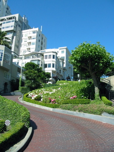 V&eacute;g&eacute;tation de Lombard St.