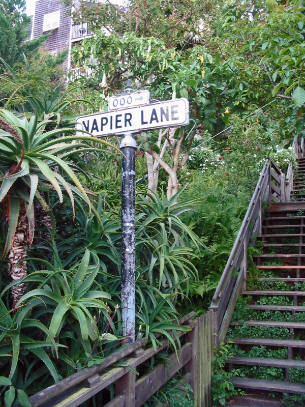 Napier Lane