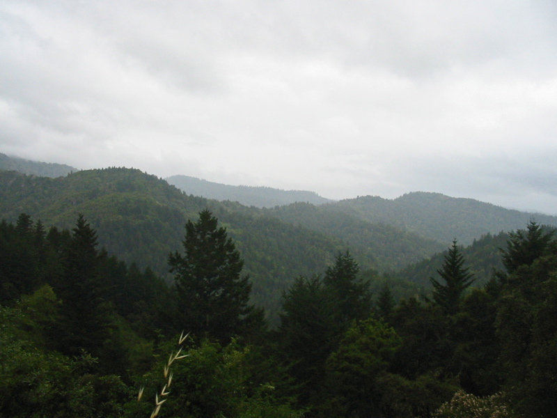 Point de vue sur la montagne