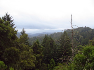 Point de vue sur la montagne