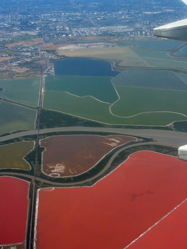 Marais salins au sud de la baie de San Francisco